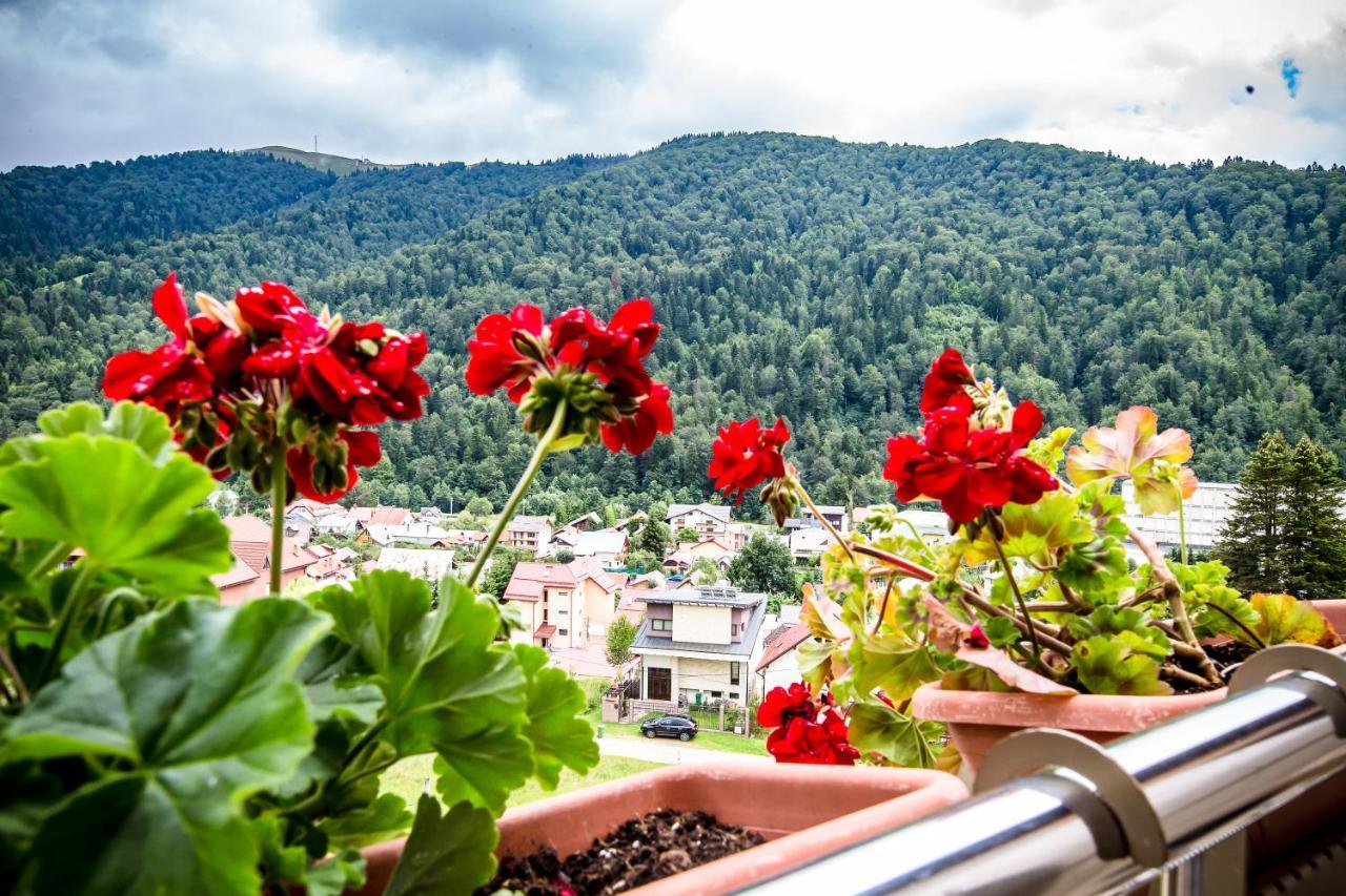 Hotel Carpat Inn Azuga Buitenkant foto